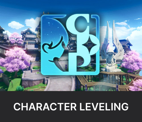 Character Leveling Boost